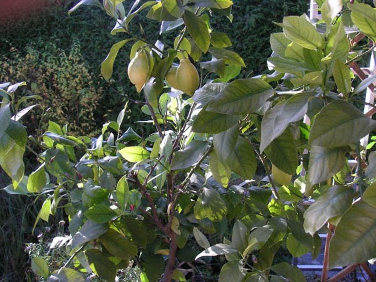 My Sweet Home Sauerlach Exterior foto